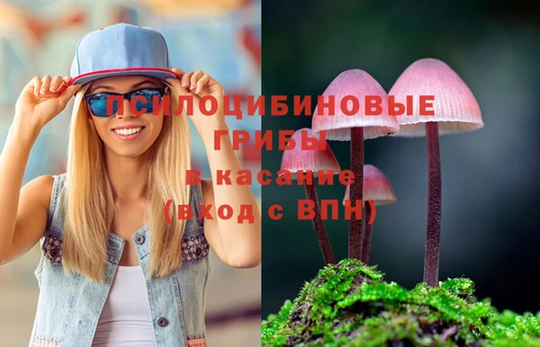 тгк Армянск